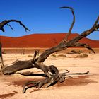 Trockenheit der Namib