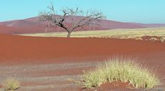 Trockenheit im Sossusvlei