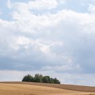 Trockenheit. Regen muss sein!