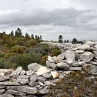 Trockenmauer im Nieselregen 