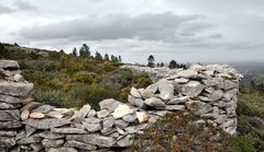 Trockenmauer im Nieselregen 