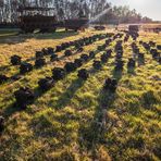 Trockenstapel in der Sonne 