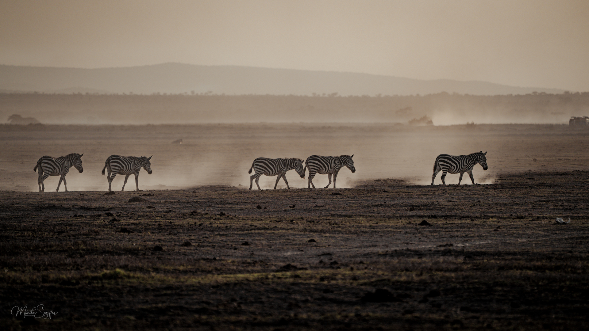 Trockenzeit im Amboseli Park