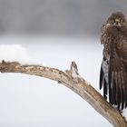 Trocknen und Aufwärmen