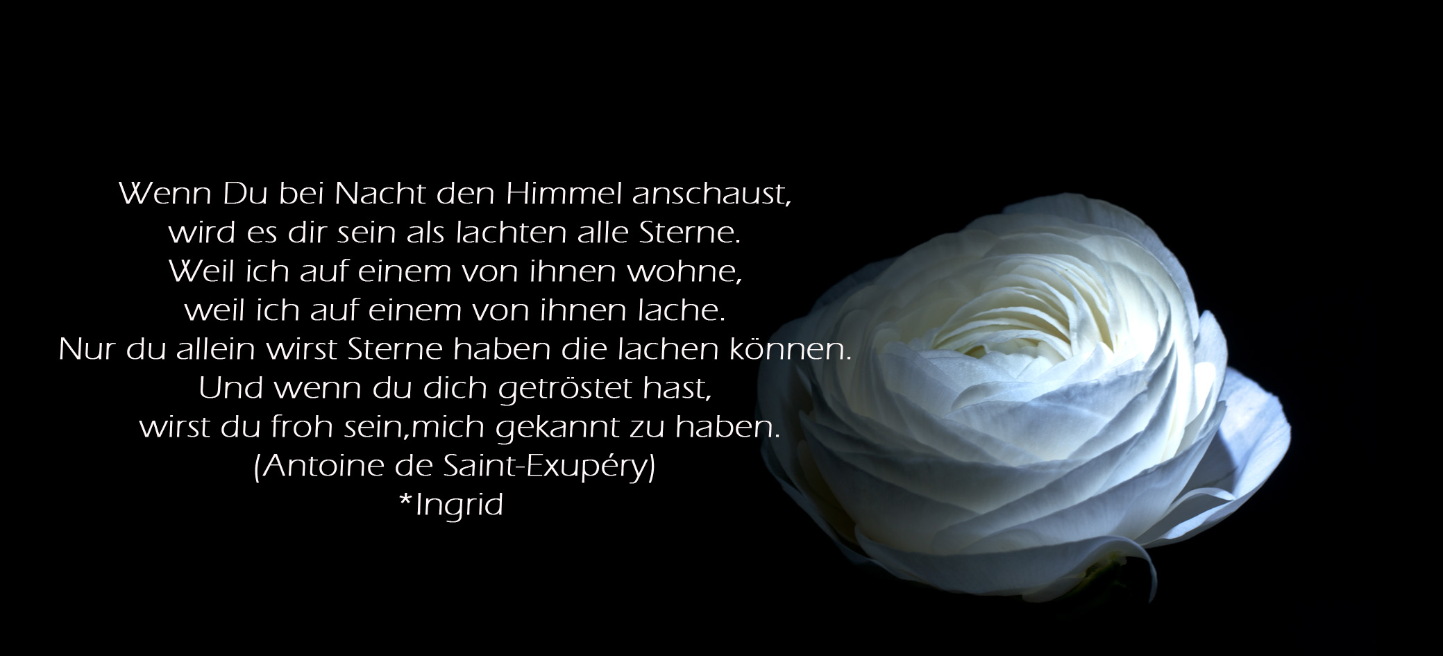 tröstende Worte Foto &amp; Bild spezial, trauer, alles mögliche Bilder