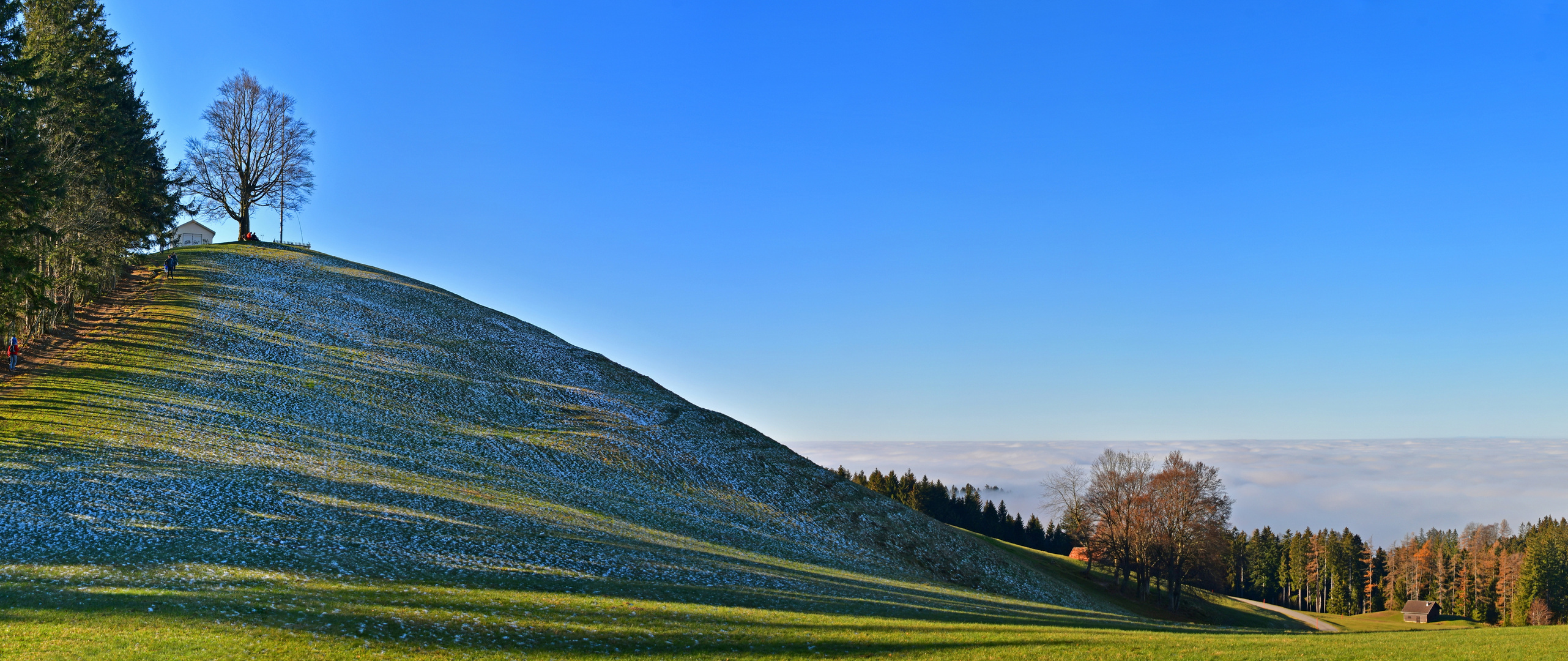 Tröstliches Winterbild ohne Schnee!