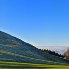 Tröstliches Winterbild ohne Schnee!