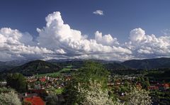 Trofaiacher Frühling