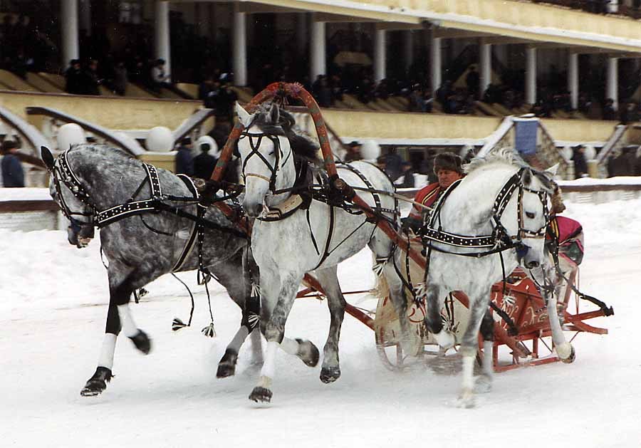 Troika im Winter