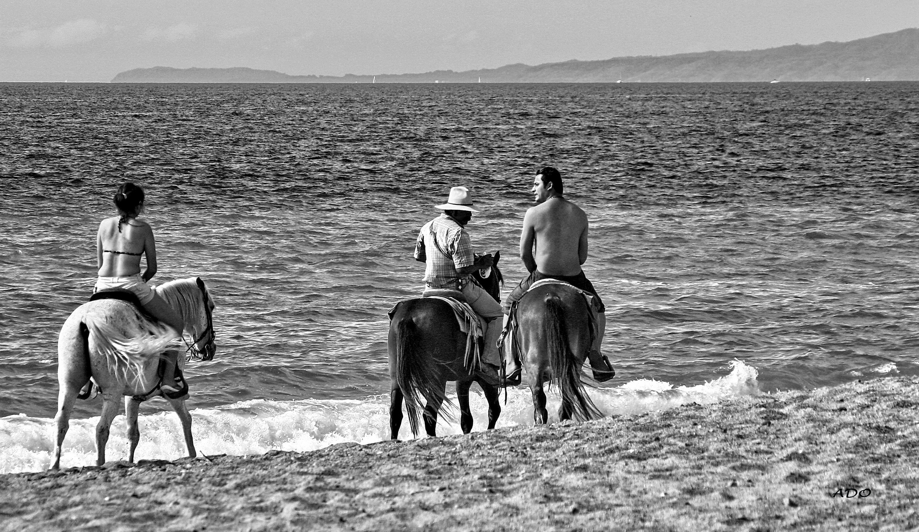 trois chevaux et trois cavaliers