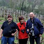 Trois photographes dans les vignes du Jura