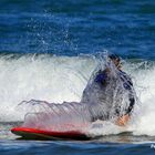 Troisième dim en surf