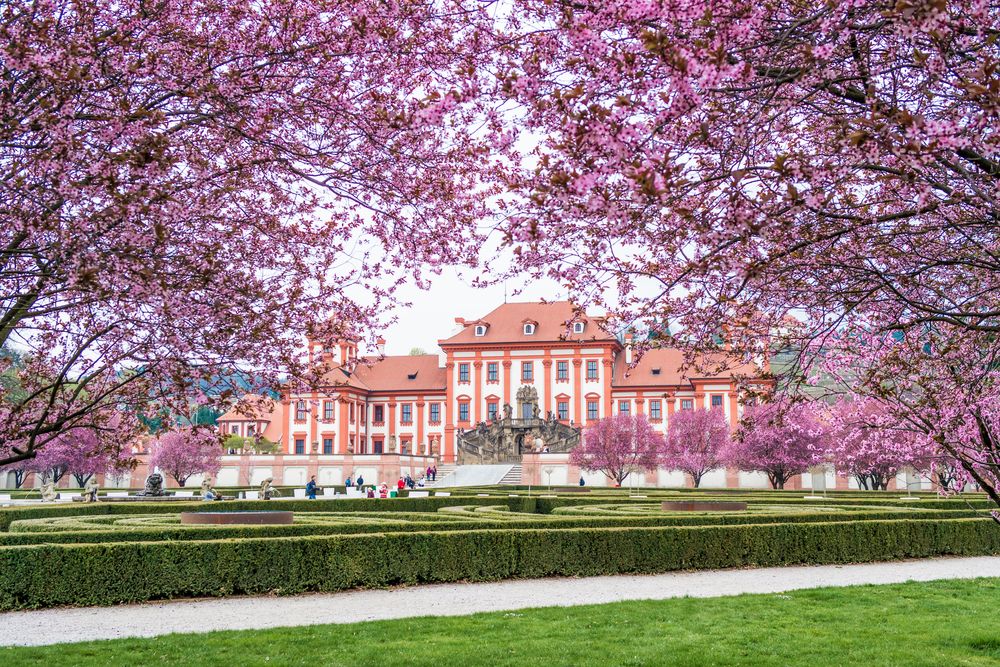 Troja im Frühling