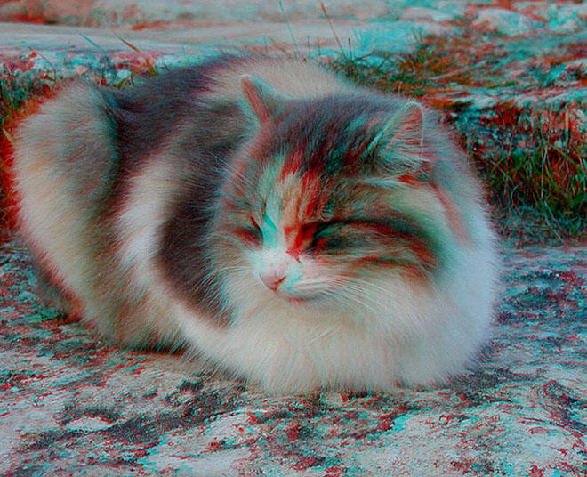 Trojanische Katze 3D