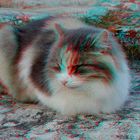 Trojanische Katze 3D