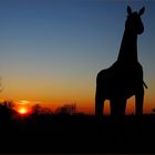 TROJANISCHES PFERD - JENSEITS VON AFRIKA