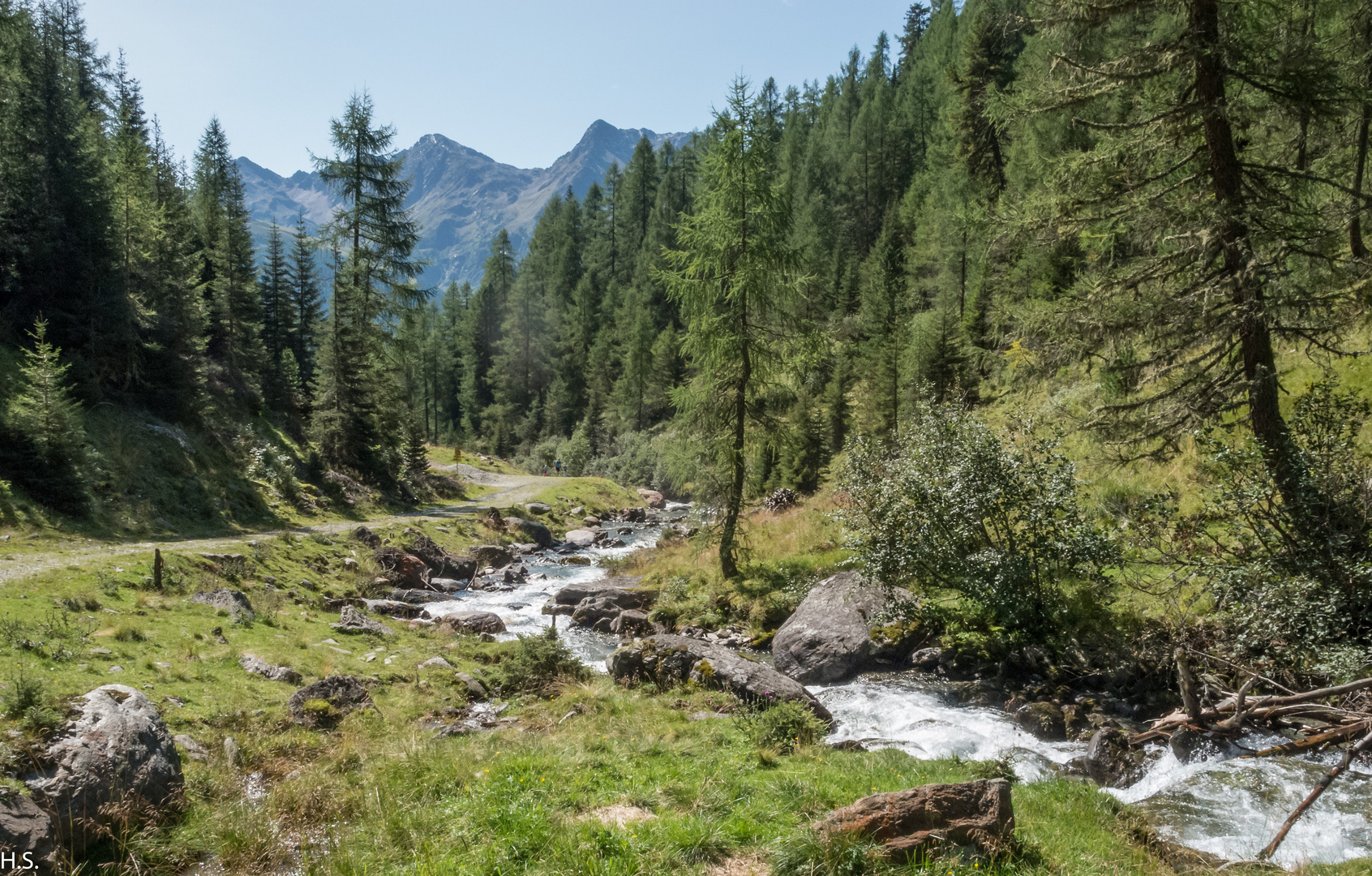 Trojeralm-1- Der Weg neben dem Trojeralmbach führt zur Jausenstaion Trojeralm in 1815m.