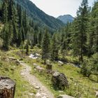 Trojeralm-2- Der Weg hoch zur Jausenstation in 1815m neben dem Trojeralmbach