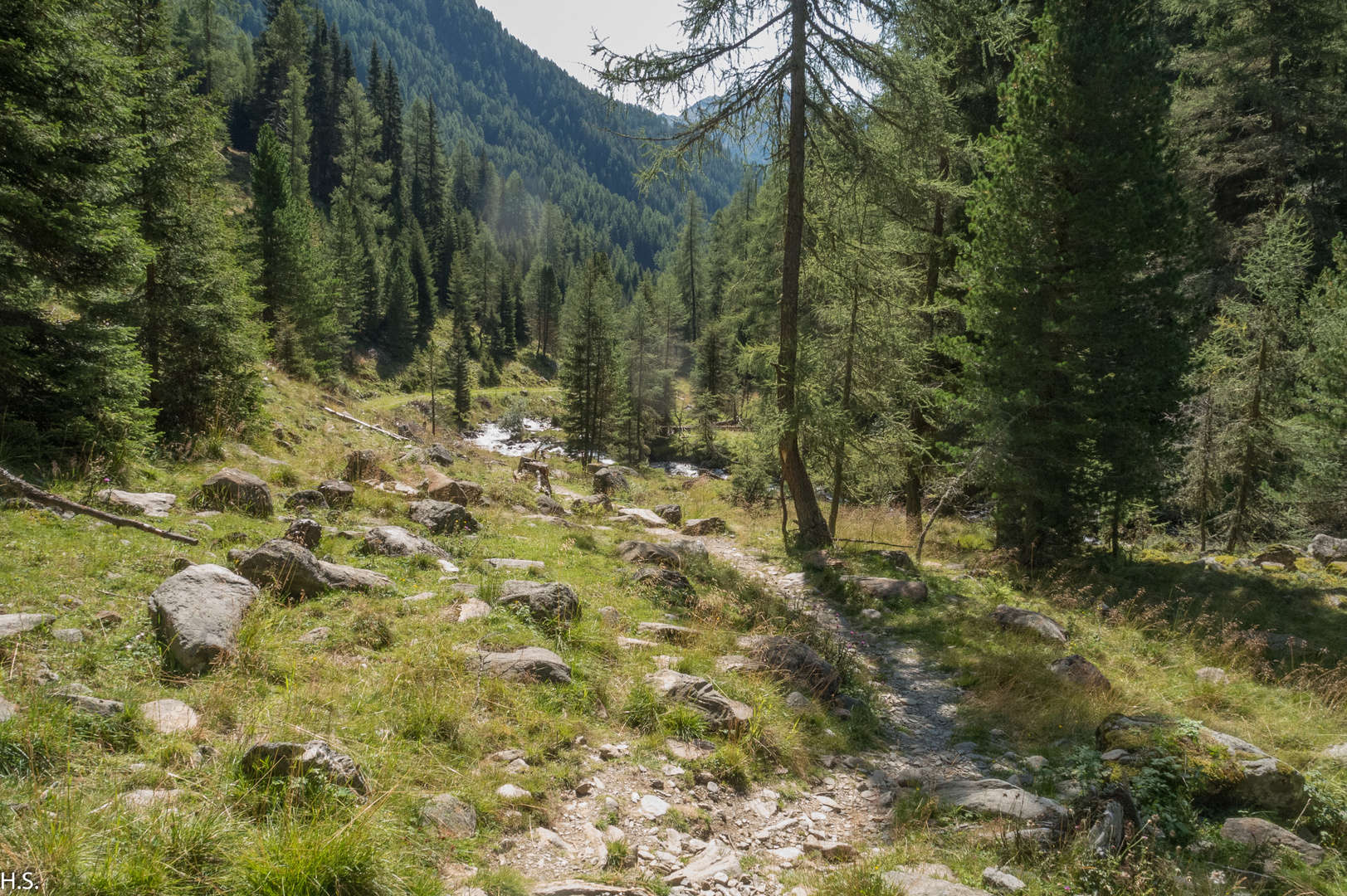 Trojeralm-3- Der Weg hoch zu der Jausensation Trojerralm in 1815m