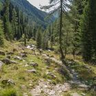 Trojeralm-3- Der Weg hoch zu der Jausensation Trojerralm in 1815m