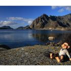 T(r)OLL AUF DEN LOFOTEN!!!!