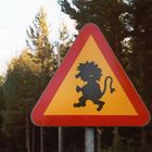 Troll crossing