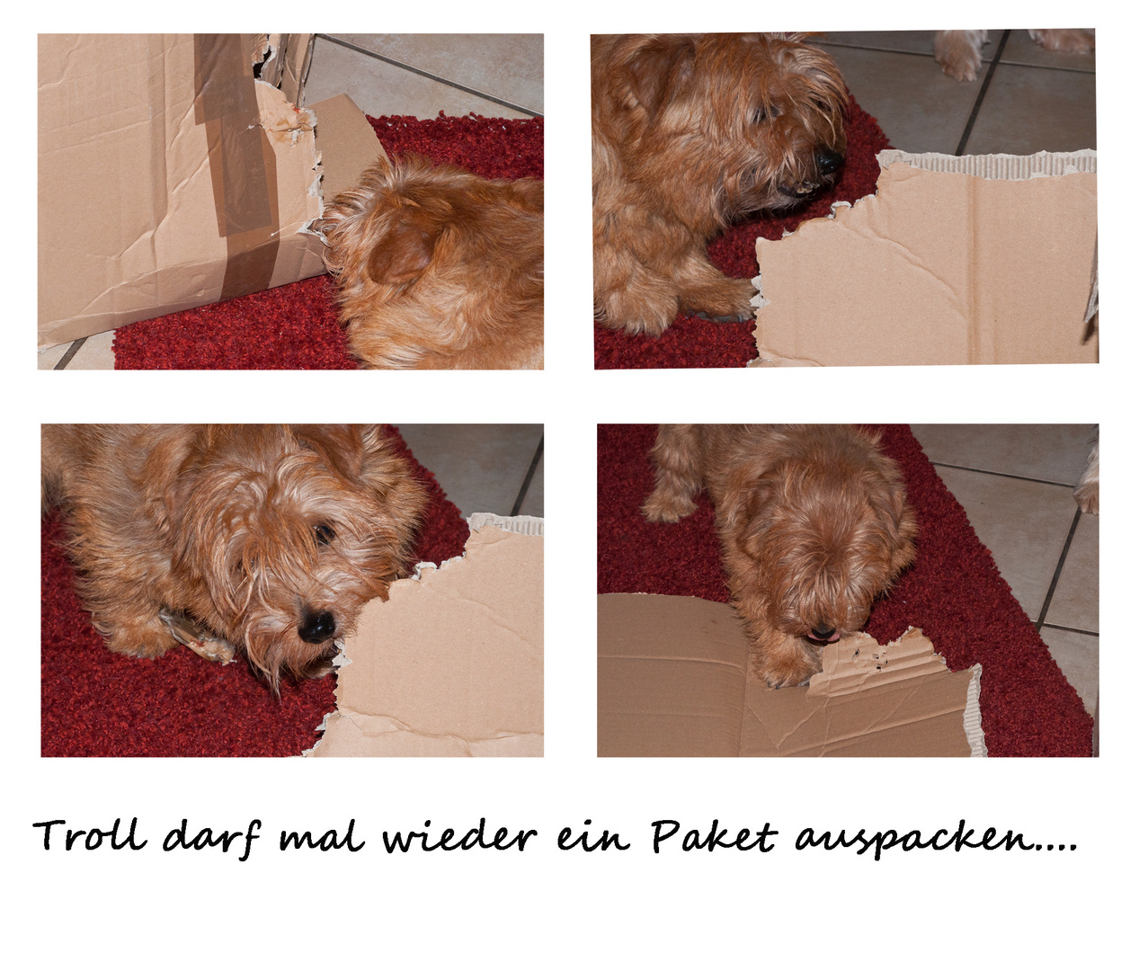 Troll der Paket-Killer