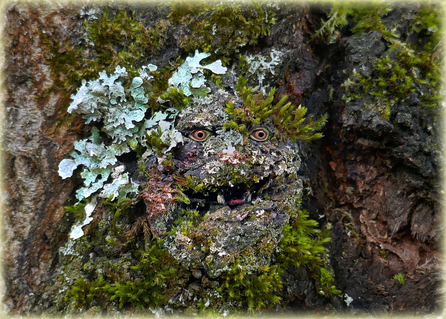 Troll im Baum