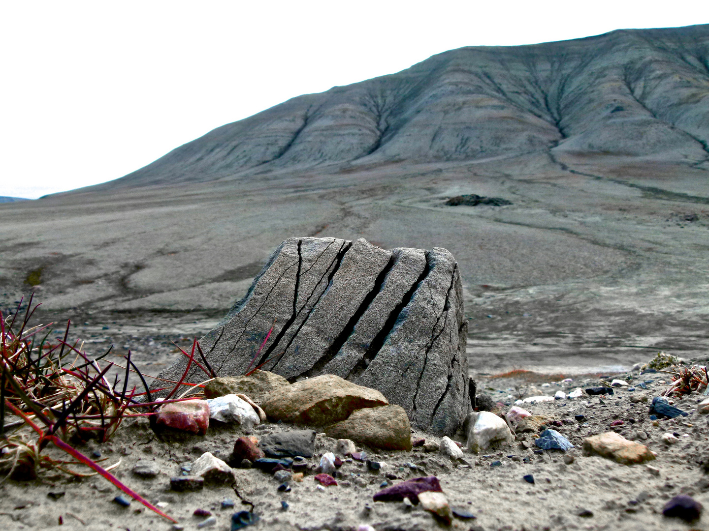 Trollbrot, Mohnbukta,Svalbard