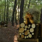 Trolle im Wald