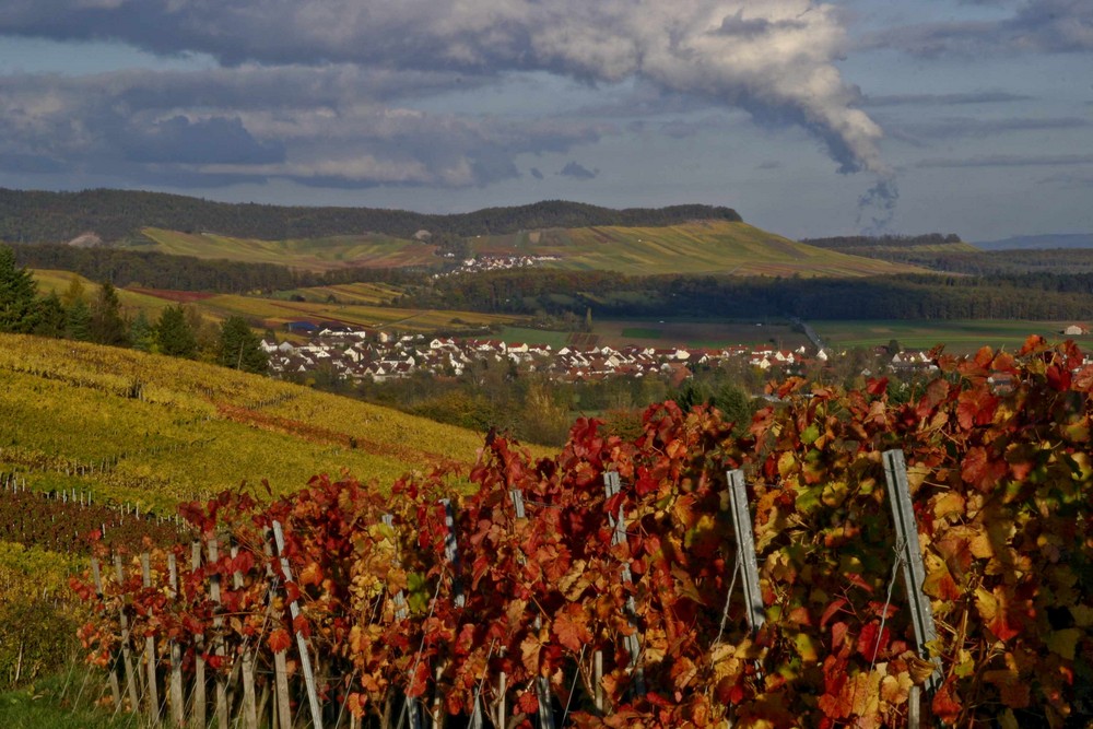 Trollinger-Landschaft von erokbild 