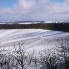 Trollingerland bei den Eppinger Lininien