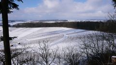 Trollingerland bei den Eppinger Lininien