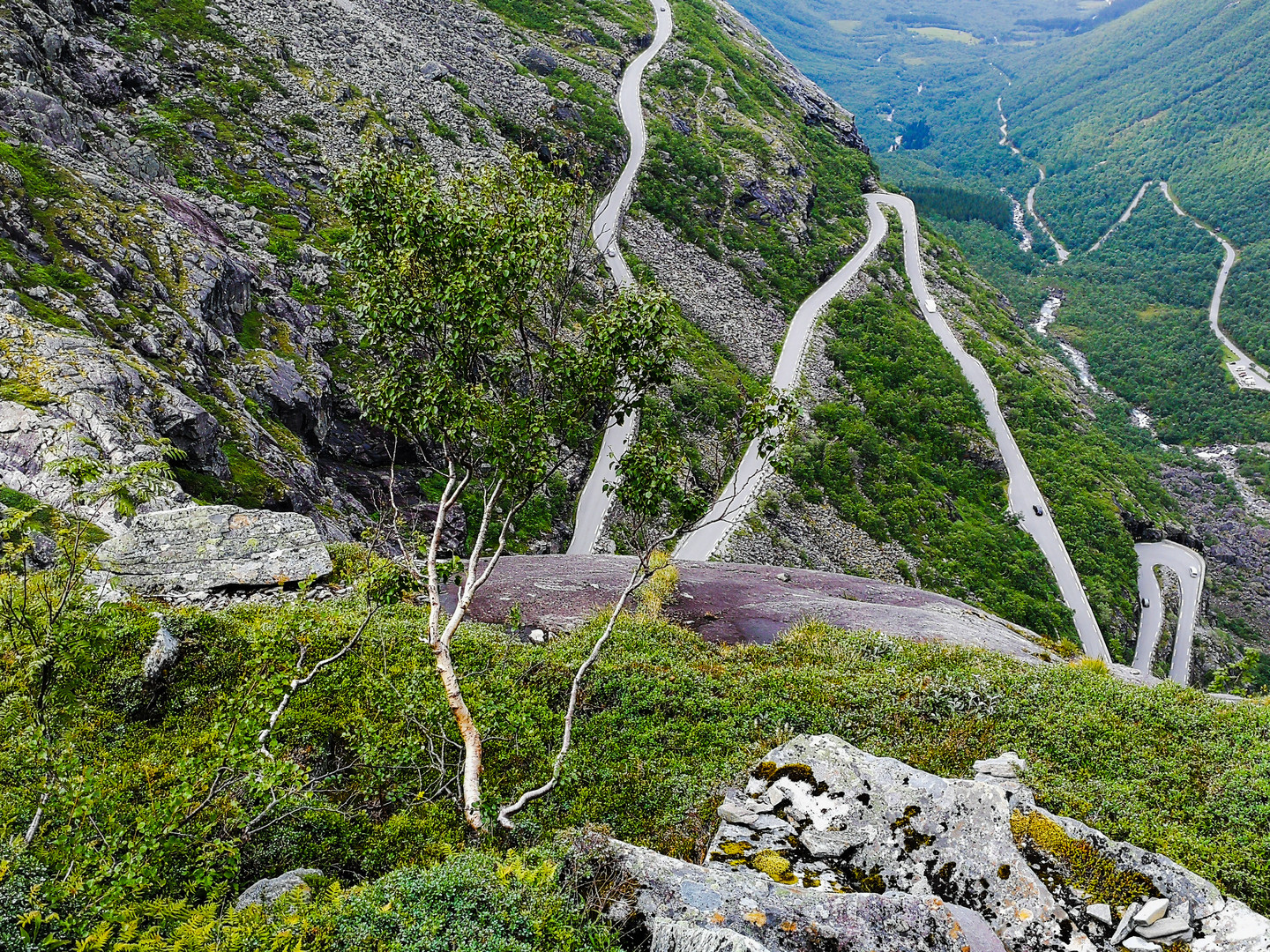 Trollstigen 