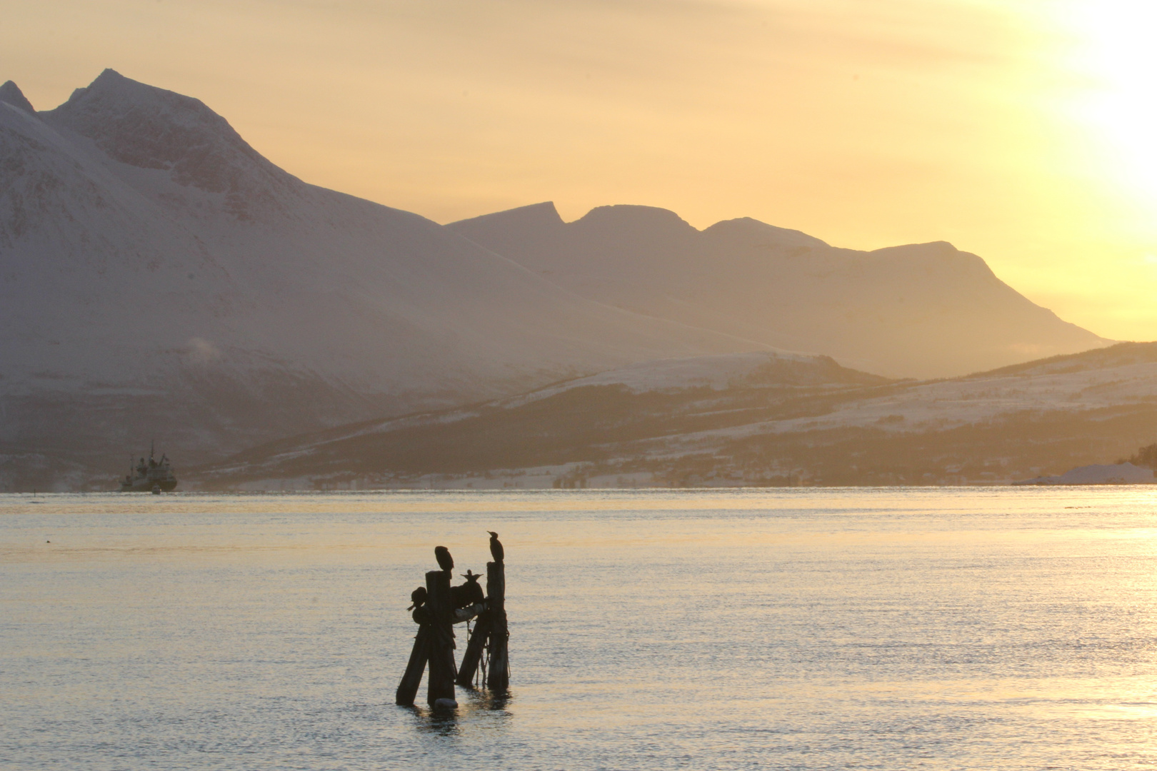 Tromsö