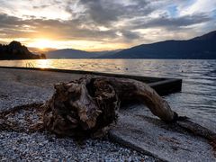 Tronco sulla spiaggia