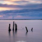 Troncos Delta del Ebro