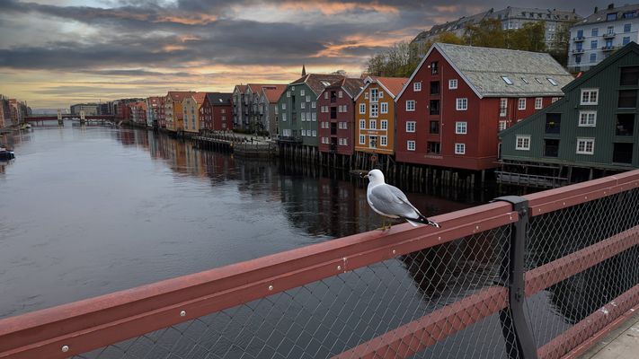 Trondheim gamle Bybro