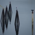 Trondheim Hafen Februar 2017