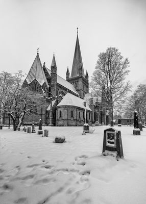 Trondheim Norwegen 2022