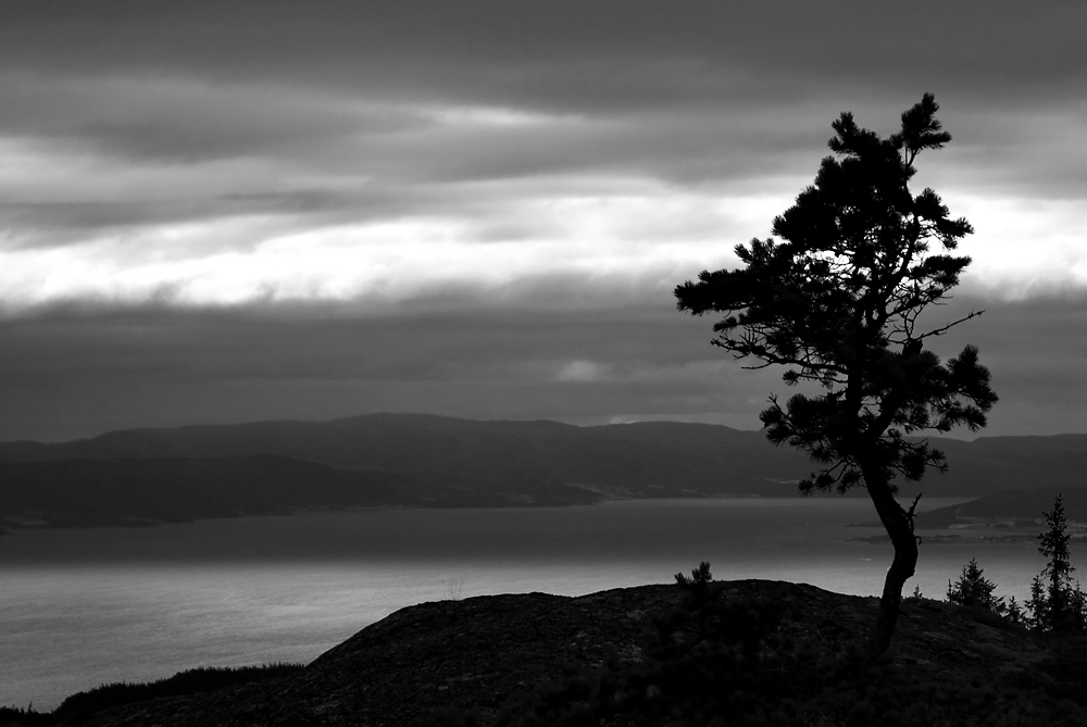 Trondheimfjorden