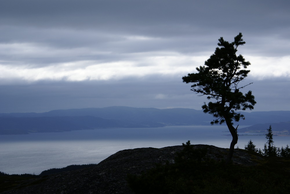 Trondheimfjorden / Norwegen