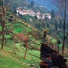 Trongsa dzong from th other valley side