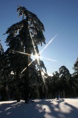 Troodos Gebirge 1