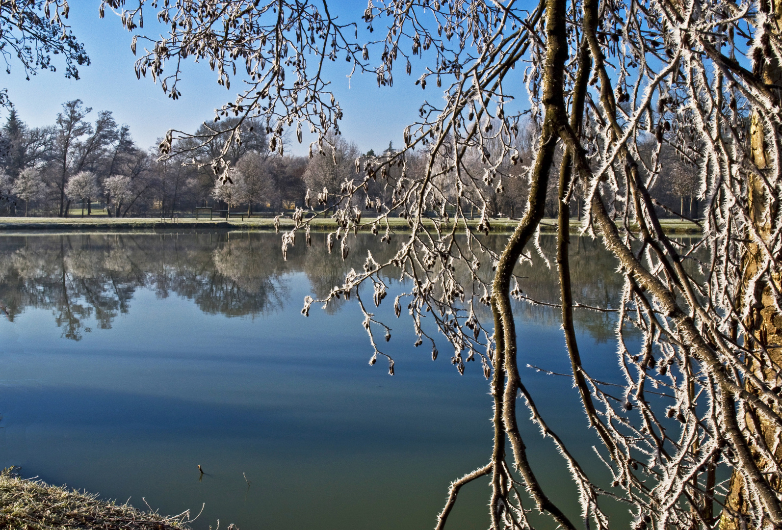 Trop froid…même plus de canards… !