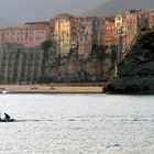 Tropea