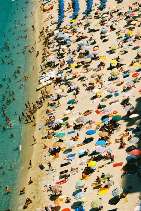 tropea