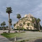 Tropea