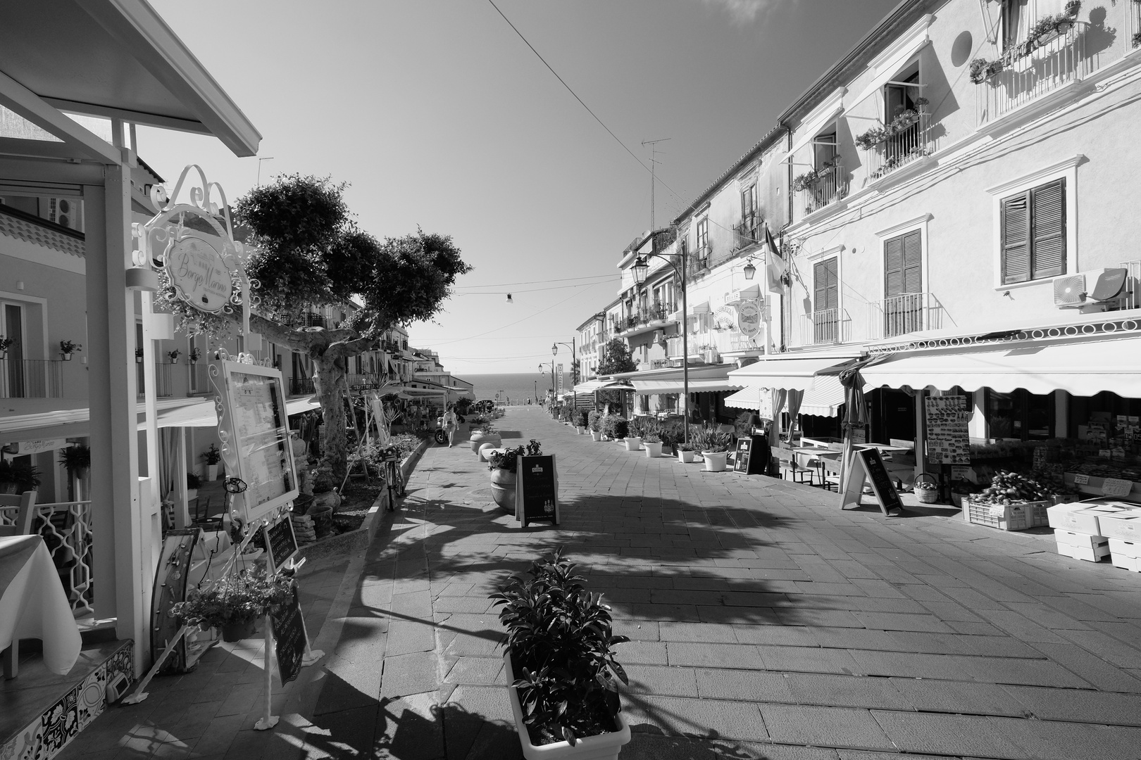 TROPEA 