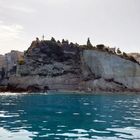 Tropea vom Wasser aus